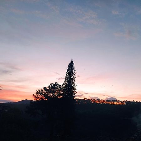 Hostel Ares Do Mundo มิเกลเปเรรา ภายนอก รูปภาพ